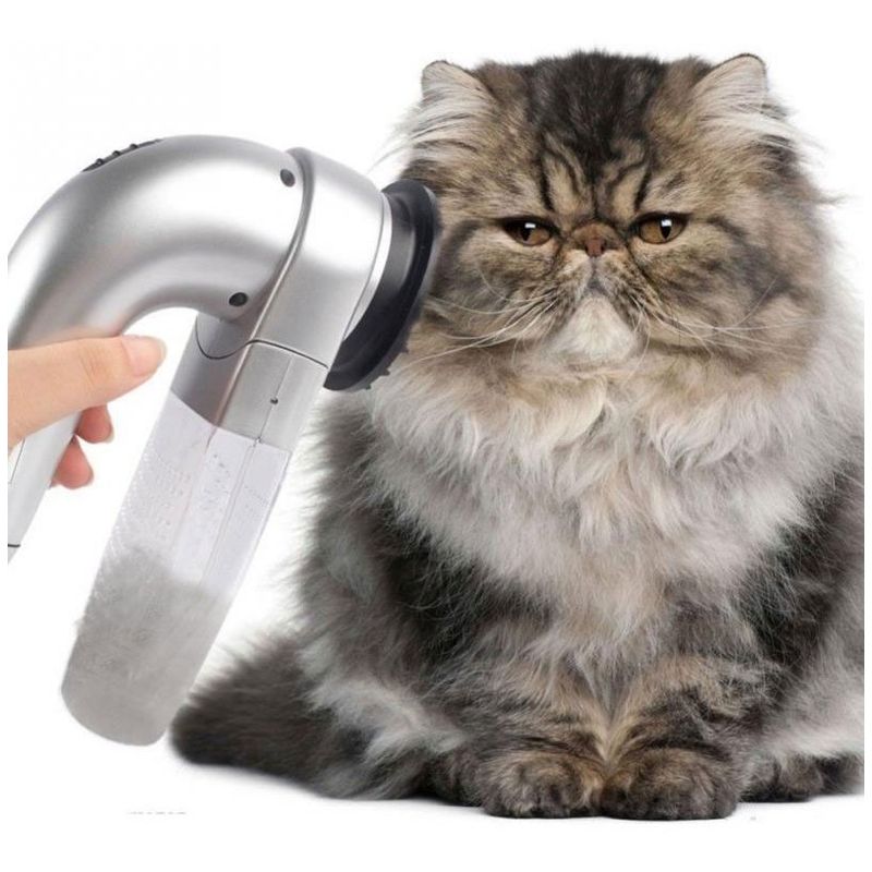Limpieza de la casa con aspiradora cepillo de aspiradora con gato mascota