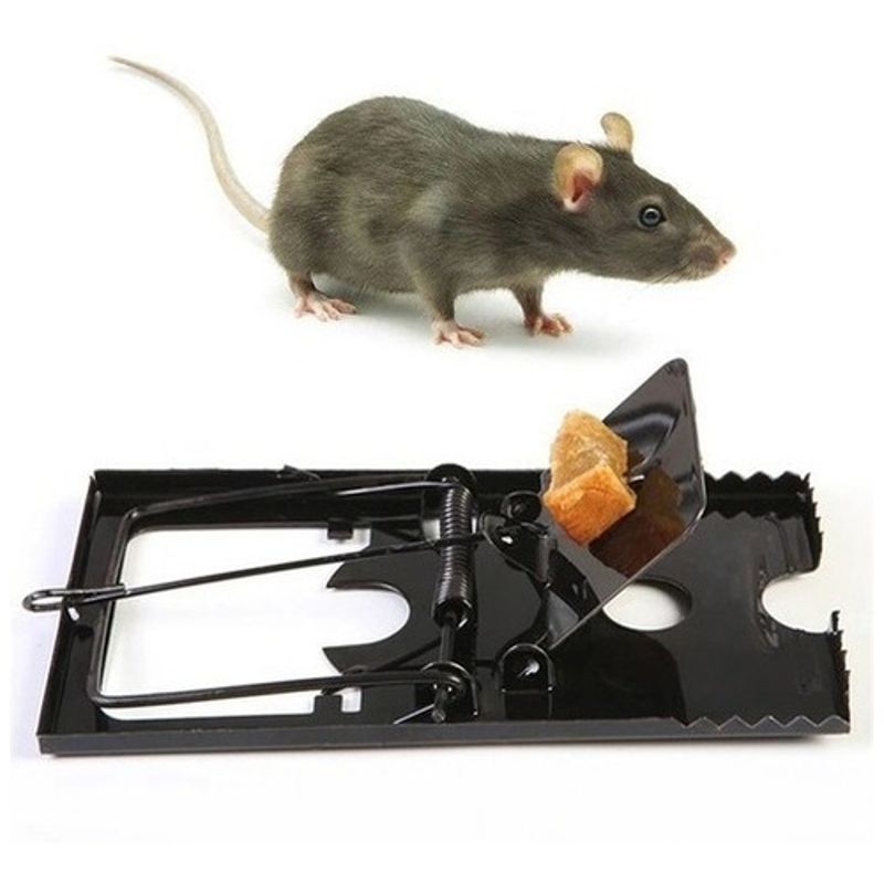 Our Featured Products Trampa para ratas fotografías e imágenes de alta  resolución - Alamy, trampas para ratas 