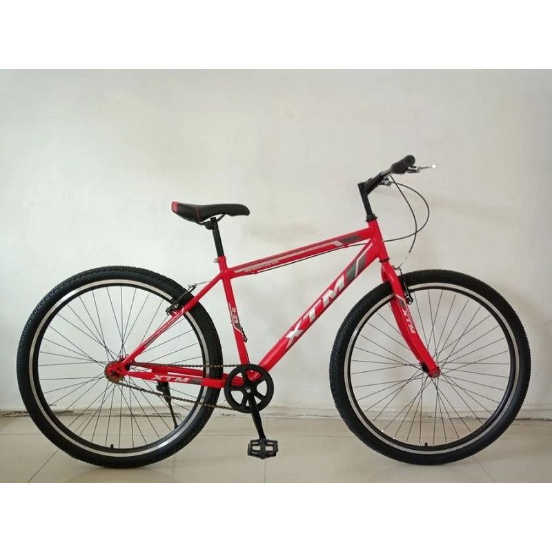 BICICLETA MONTA A ARO 29 0.0