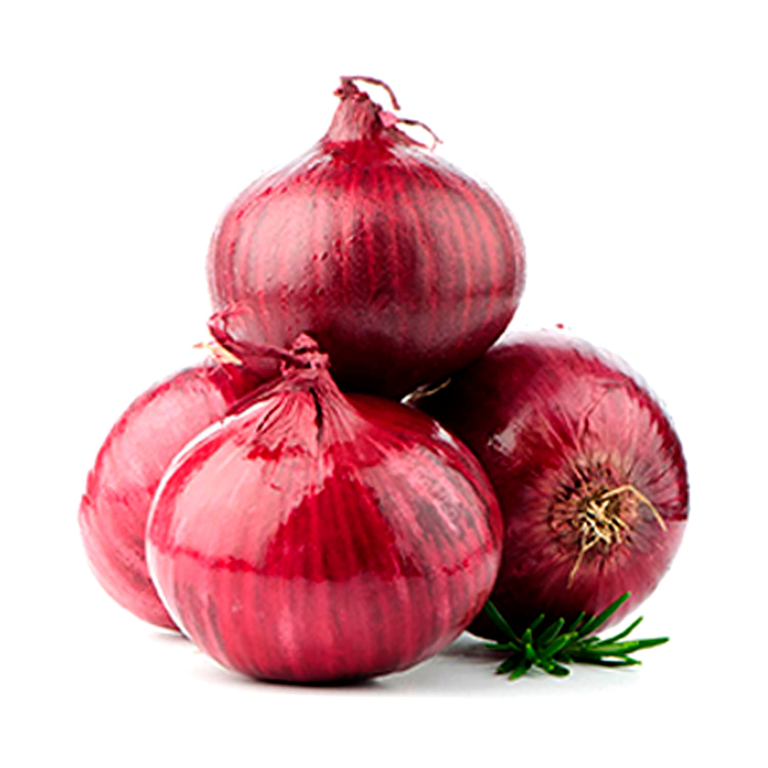 Onion Ooty