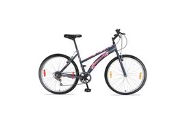 Bicicleta Baccio Alpina Lady rodado 24