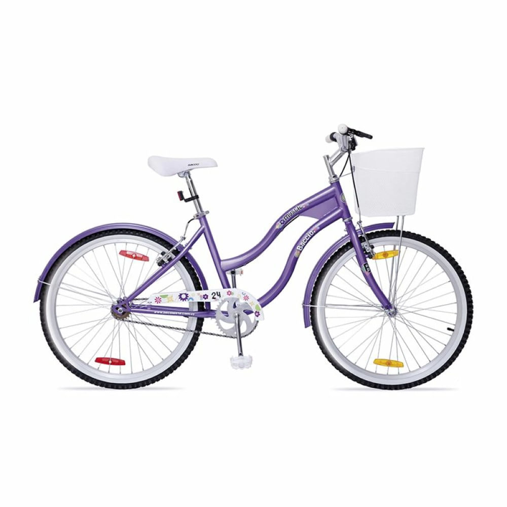 Bicicleta Baccio Mystic rodado 24